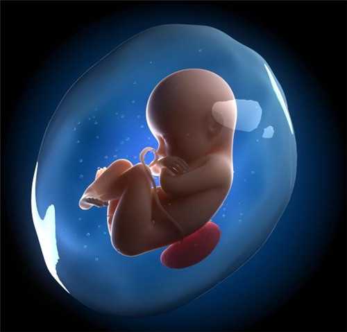 高鹰代孕安全性_试管婴儿在手术过程中胎停育的原因在哪儿？