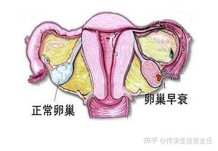 南昌孕妇怀上八胞胎后医生建议减胎的原因你知道吗？